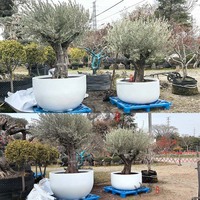 Jardinière extérieure robuste de grande taille en plastique renforcé de fibre de verre avec trous de drainage pour projets urbains