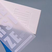 Individuelle Papier- und PVC-Anhänger mit Logo-Etikett für Taschen und Kleidung