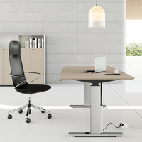 Meubles simples de style moderne bureau d'ordinateur de bureau bureau de table convertible pour PDG caractéristiques de réglage de petit bureau
