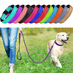 Collar de Nailon Reflectante para Perro, con Acolchado de Neopreno y Anillo en D de Metal Resistente, Venta Caliente del Fabricante - Product Image 2