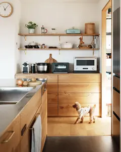 Vermonhouzz New Modern Design Solid Wood Veneer Kitchen Cabinet Rattan Weaving Door Home Furniture