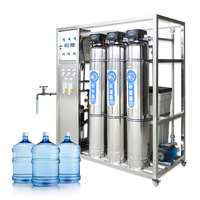 Usine de traitement d'eau saumâtre à haute efficacité par osmose inverse (RO) de 500 L/h pour hôtels, avec pompe PLC