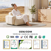 Canapé individuel sur mesure en mousse à mémoire de forme, compression directe usine OEM/ODM, fabricant de haute qualité, canapé moderne pour la maison