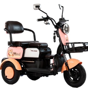 Mini Triciclo Eléctrico de Tres Ruedas para Pasajeros, con Batería Desmontable de 48V y 500W de Potencia para Adultos - Product Image 1