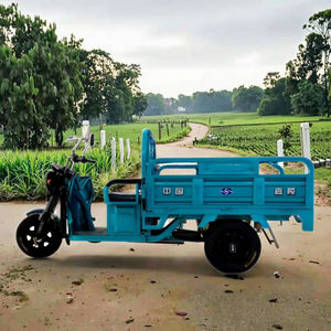 <span class=keywords><strong>JL</strong></span> 48V 650W 3ล้อเปิด1.3M รถสามล้อไฟฟ้าที่มีน้ำหนักบรรทุก400kg สำหรับใช้ในครอบครัว - Product Image 2