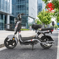 Vélo électrique robuste pour adulte avec panier avant en métal, dossier arrière, pneus anti-usure, plusieurs couleurs