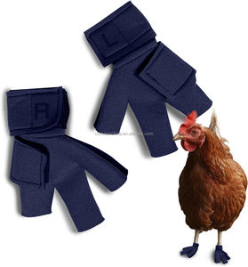 Zapatos de Neopreno para Pollos al por Mayor, Calzado para Protección de Patas de Mascotas, Botas para Granjas Avícolas, Diseño Abierto para Patas Lesionadas - Product Image 3