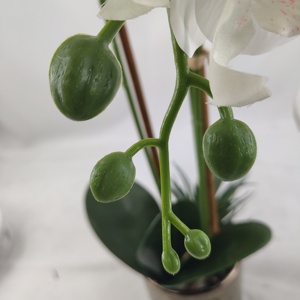 Orquídea artificial <span class=keywords><strong>de</strong></span> colores para decoración del hogar, orquídea artificial <span class=keywords><strong>de</strong></span> tacto real, plantas <span class=keywords><strong>de</strong></span> simulación, gran oferta - Product Image 4