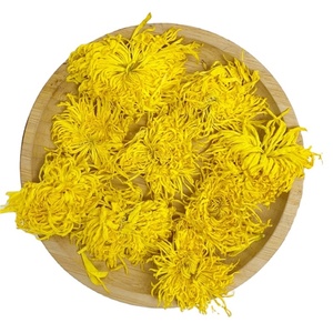 Té de crisantemo dorado seco Natural puro Sabor original Té de flores Beneficios para la salud Precio al por mayor Dendranthema <span class=keywords><strong>Morifolium</strong></span> - Product Image 1