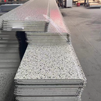 Panneau sandwich en mousse de polyuréthane PU avec revêtement en marbre pour mur extérieur d'entrepôt