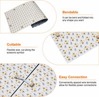 Feuille lumineuse LED CCT ultra-fine et flexible RAYMATES 24V, 696 LED, température de couleur double réglable, rétroéclairage LED pour intérieur