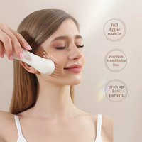Appareil de massage facial électrique, lifting du visage, resserrement de la peau, multifonctionnel, soin des yeux, étanche, rechargeable par USB, aluminium, portable