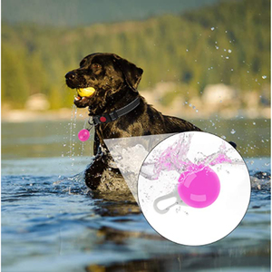 Wholesale Usb Charging <strong>Glowing</strong> <strong>Dog</strong> <strong>Collar</strong> With Pendant Detachable Led Light Bright for Small <strong>Dogs</strong> Cat Night Safety <strong>Collar</strong> - Product Image 6