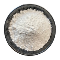 Dioxyde de titane rutile à 99 % de pureté, dioxyde de titane anatase, pigment blanc de dioxyde de titane avec une excellente dispersibilité.