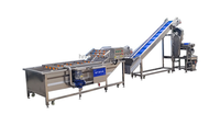 Ligne de production de jus de fruits et légumes à petite échelle semi-automatique DZJX avec lavage, broyage et pressage pour les démarrages et les fermes