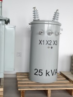 Transformateur de distribution monophasé monté sur poteau 25 Kva 50 75 Kva 100 150Kva 300kva 11kv 33kv