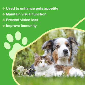 OEM ODM Masticables Blandos <span class=keywords><strong>de</strong></span> Lisina <span class=keywords><strong>de</strong></span> Rápida Absorción y Seguros para Reforzar el Sistema Inmunitario 250mg para Gatos y Perros, Alivio <span class=keywords><strong>de</strong></span> Alergias, <span class=keywords><strong>Estornudos</strong></span>, Nariz Escupitosa y Ojos Llorosos - Product Image 4