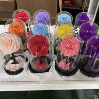 Bestseller - Roses éternelles - Fleurs pour la Saint-Valentin et la fête des mères - Fleurs préservées éternelles - Roses éternelles dans un dôme en verre avec LED