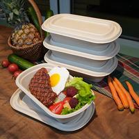 Groothandel Biologisch Afbreekbaar Wegwerp Lunchbox Rechthoek Suikerriet Bagasse Voedselcontainer Deksel Rechthoekig Patroon Fruitverpakking