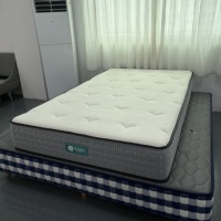 Kasur Elektrik Modern Mewah yang Dapat Disesuaikan dengan Fitur Pemanas & Tahan Lama, Kontrol Cerdas untuk Kamar Tidur Hotel, Sekolah, Rumah Sakit
