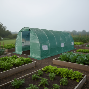 Invernadero Tipo Túnel de 10 x 20 Pies con Cubierta de PVC Ripstop, Estructura de Aluminio, para Cultivo en Jardín, con Ventanas Enrollables de Malla - Product Image 2