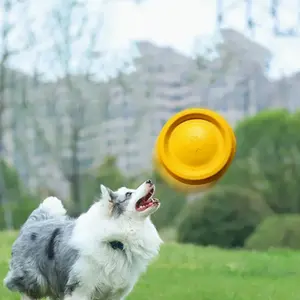 Ngoài Trời Đào Tạo Con Chó Đồ Chơi Silicone Mềm Pet Cắn Kháng Frisbeed Bền Nhỏ Nhỏ Chew Bay Golf Đĩa