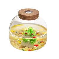 Terrariums en verre transparent avec lumière LED colorée, sans BPA, faits à la main, en verre borosilicate transparent de haute qualité avec couvercle en liège