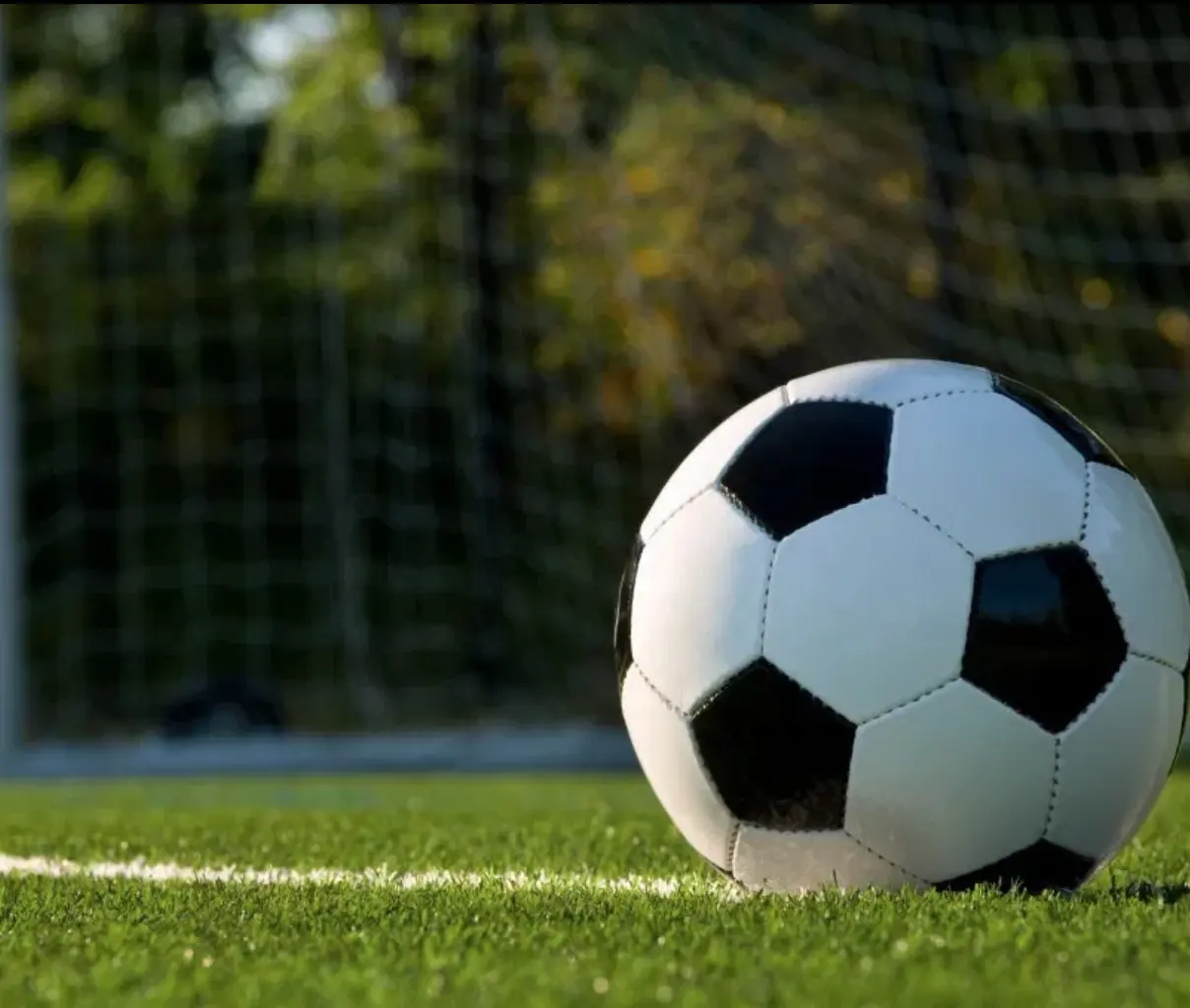 Gazon artificiel antidérapant pour sports de football, gazon avec semelle de 50mm, noir