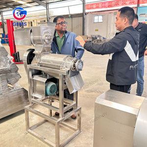 Máquina exprimidora <span class=keywords><strong>de</strong></span> zanahoria comercial, máquina <span class=keywords><strong>de</strong></span> jugo <span class=keywords><strong>de</strong></span> fruta, <span class=keywords><strong>exprimidor</strong></span> <span class=keywords><strong>de</strong></span> ajo y jengibre, máquina para hacer jugo <span class=keywords><strong>de</strong></span> jengibre a la venta - Product Image 6