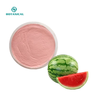 100% poudre de fruit de pastèque de solubilité dans l'eau naturelle pure