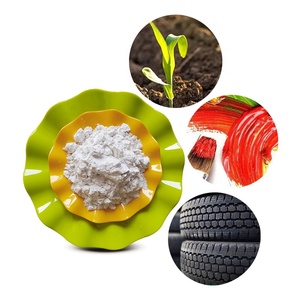 Polvo de Diatomita Cruda para Revestimiento de Paredes de Lodo de Diatomeas, Pintura Interior - Product Image 6