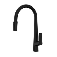 Robinet de cuisine moderne noir acier inoxydable 304 laiton pulvérisateur évier robinet robinet d'eau pour hôtels