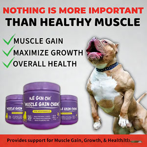 อาหารเสริมโปรตีนแบบเคี้ยวสำหรับสุนัข ยี่ห้อ OEM ฉลากส่วนตัว ช่วยเสริมสร้างกล้ามเนื้อ เสริมสร้างภูมิคุ้มกัน ด้วยวิตามิน - Product Image 2