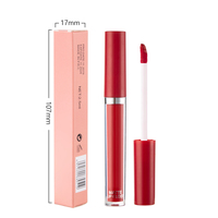Rouge à lèvres liquide mat 12 couleurs, longue tenue, waterproof, anti-transfert, gloss mat pour les lèvres