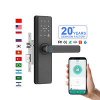 Moderne Stijl Interieur Aluminium Legering Deurgrepen Hoge Kwaliteit Hendel Hendel Insteekslot Set Wifi Tuya-Fabriek Prijs Thuis Cloud
