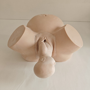 نموذج تدريب قِبالة متقدم نموذج تعليمي للولادة البشرية نموذج تفرير بشري - Product Image 4