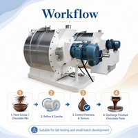 Machine de Conchage de Chocolat et de Cacao en Acier Inoxydable de Haute Qualité pour Laboratoire