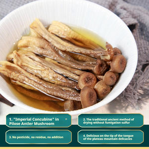 Hochwertiger ganz getrockneter natürlicher Pilosegeweih-Pilz-Samtgeweih-Pilz - Product Image 5