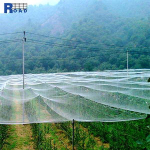Red antiinsectos de plástico negro para jardín, gran oferta, Red de caza de pájaros estirada BOP hecha de HDPE para aplicación <span class=keywords><strong>en</strong></span> carreteras y ecologización - Product Image 2