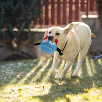 Fournisseur en gros de jouets interactifs pour chiens, balles en caoutchouc qui couinent, peluches à mâcher, balles rebondissantes, produits pour animaux de compagnie