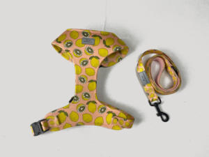 ชุดสายจูงปลอกคอสัตว์เลี้ยงสายจูงแมวและสายจูงสุนัขเชือกหนัง LED แบบยุทธวิธีสายจูงสุนัขแบบปรับแต่งได้ - Product Image 2