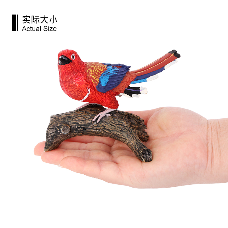 3583 Pájaro trogón