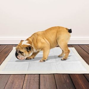 Tapis absorbant pour chien au charbon de bois, imperméable, pour l'apprentissage de la propreté des chiots, jetable, 60x90cm, taille XL - Product Image 6