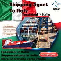 Agente de Transporte Marítimo, Italia, Gioia Tauro, Venecia, Aeropuerto Marco Polo, Entrega Exprés, Servicio de Almacenamiento