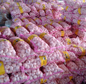 Ajo recién cosechado de Shandong, exportador confiable, fábricas con tamaños que van de 4.5-7 cm, con varias opciones disponibles. - Product Image 2