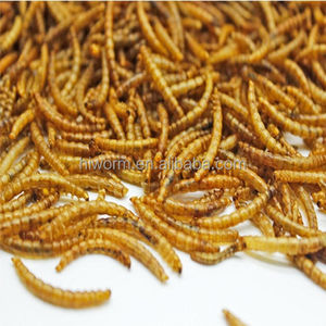 بيع بالجملة عالية الجودة ممتازة ميكروويف تجفيف الديدان تجارة الدقيق المجفف الديدان/الخبز الديدان مع كيس 5 لتر - Product Image 1