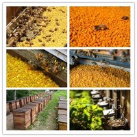 Pollen de tournesol pur naturel de haute qualité, granulés de pollen d'abeille brut pour complément alimentaire, vente en gros en vrac – Direct Usine