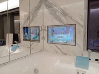 Espejo de Baño con TV Android 4K, Moderno, Ecológico, Impermeable, con Pantalla de Vidrio y Control por Voz, 43/55/65 Pulgadas, Venta al Por Mayor