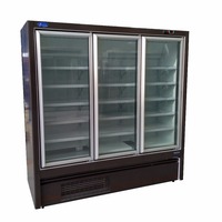 Congélateur vertical commercial à double température à porte en verre enfichable pour boissons