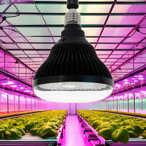 Invernadero LED <span class=keywords><strong>de</strong></span> espectro completo personalizado <span class=keywords><strong>de</strong></span> 24W, plantas domésticas inteligentes, granja <span class=keywords><strong>Vertical</strong></span>, Lettus PAR38, luz deportiva para cultivo - Product Image 1